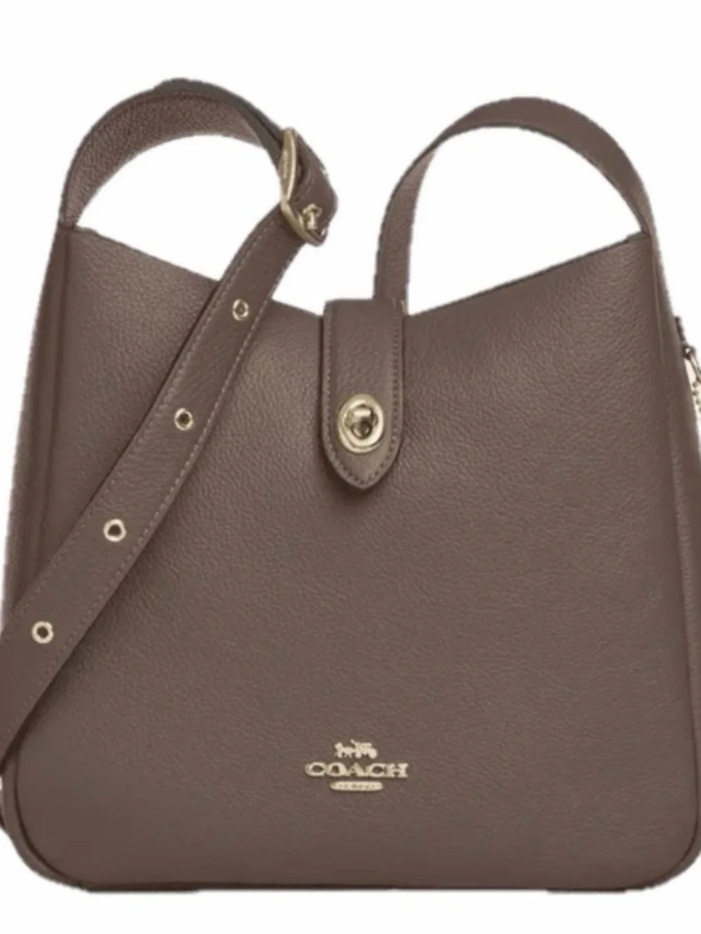 Coach Hadley Crossbody Shoulder Bag with Gold Hardware - Picture 1 of 6